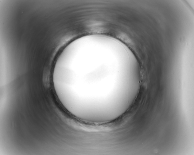 X0000086990012200704301347