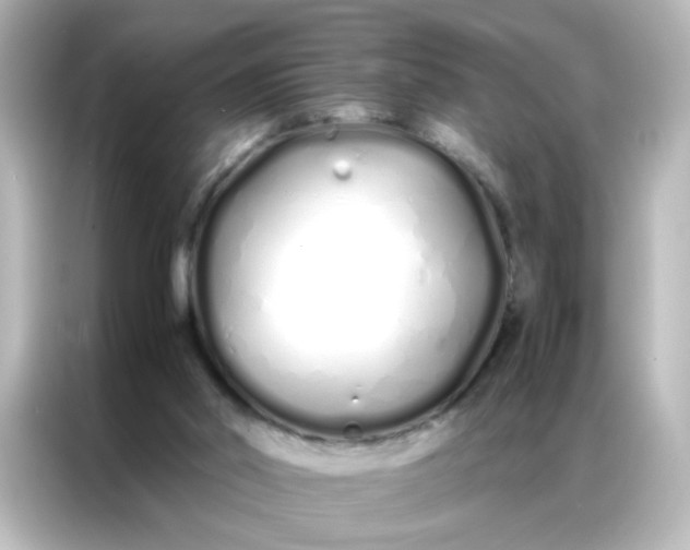 X0000086990014200704301347