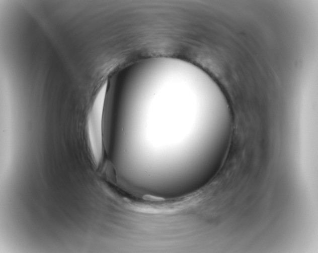 X0000086990017200704301347