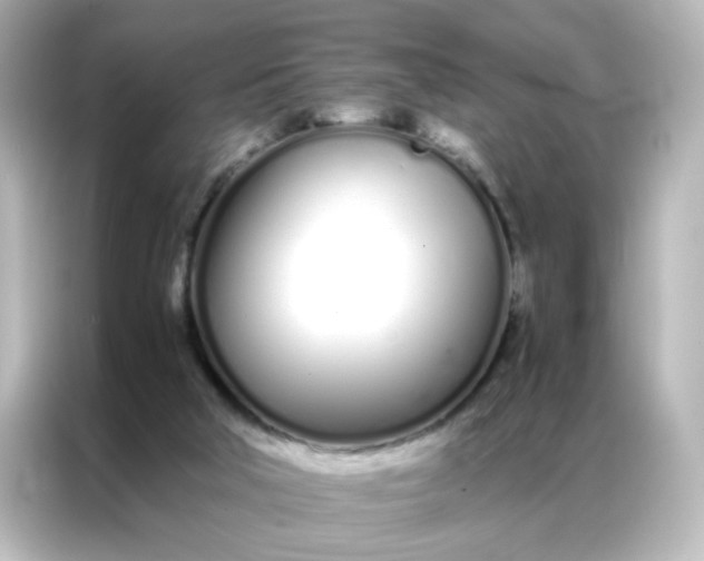 X0000086990018200704301347