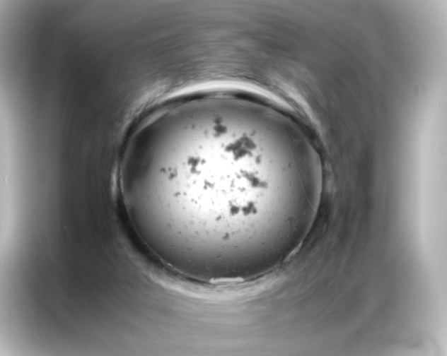 X0000086990019200704301346