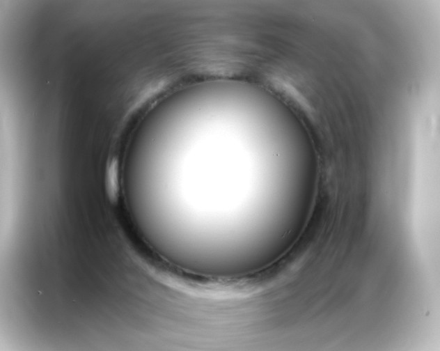 X0000086990020200704301346