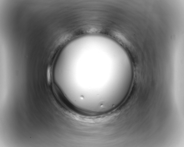 X0000086990022200704301346