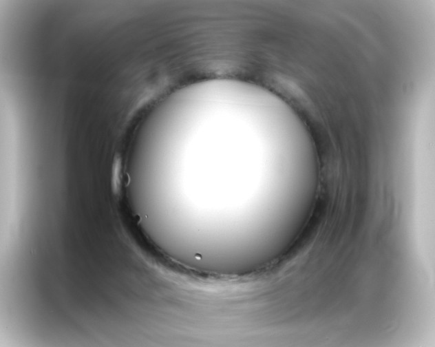 X0000086990024200704301346