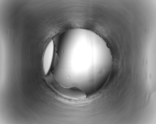 X0000086990027200704301346