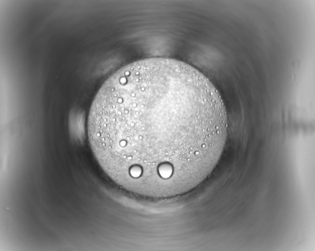 X0000086990028200704301346