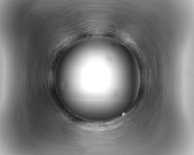 X0000086990029200704301346