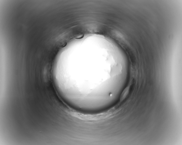 X0000086990030200704301346