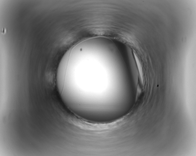 X0000086990031200704301346