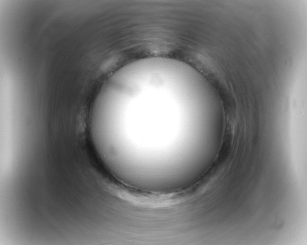 X0000086990032200704301346