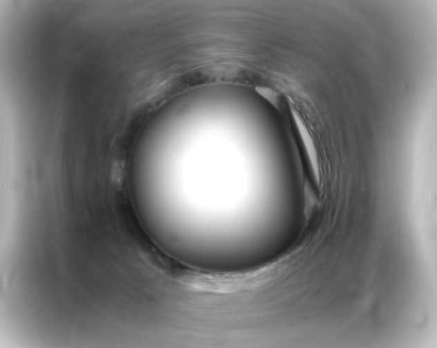 X0000086990033200704301346