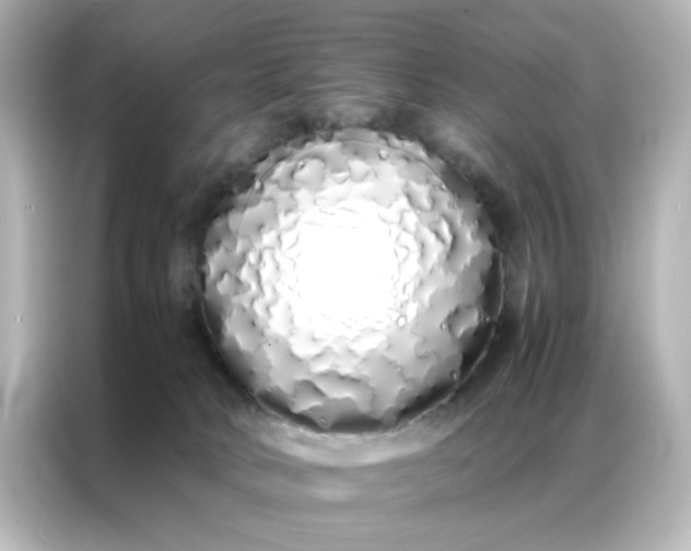 X0000086990034200704301346