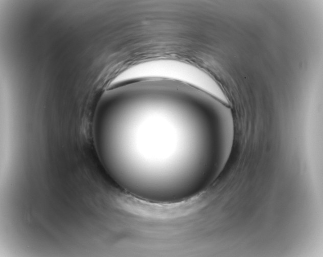 X0000086990035200704301346