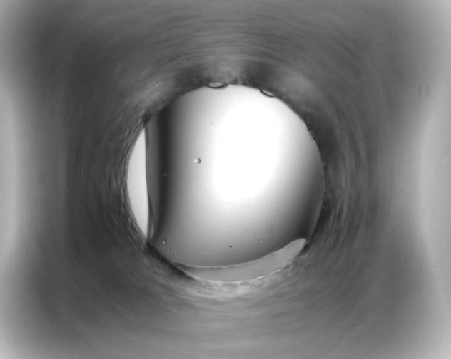 X0000086990037200704301346