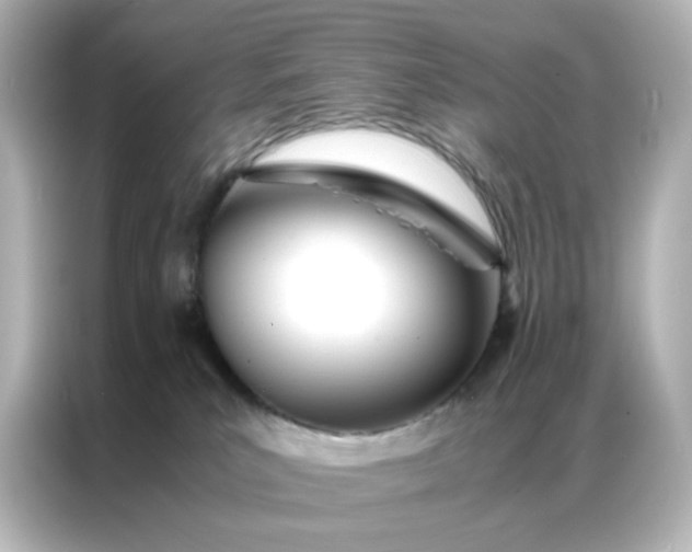 X0000086990039200704301346