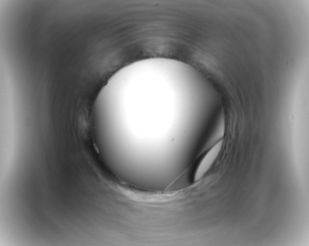 X0000086990040200704301346