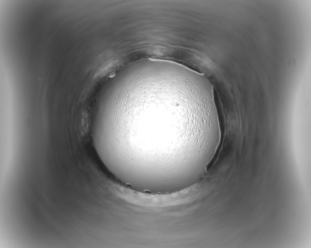 X0000086990043200704301346