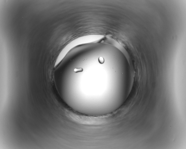 X0000086990044200704301346