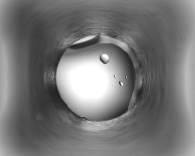 X0000086990045200704301346