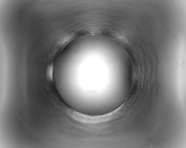 X0000086990047200704301346