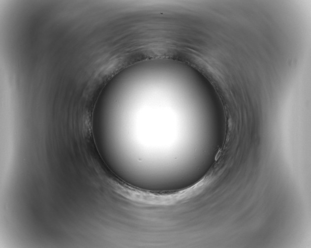 X0000086990048200704301346