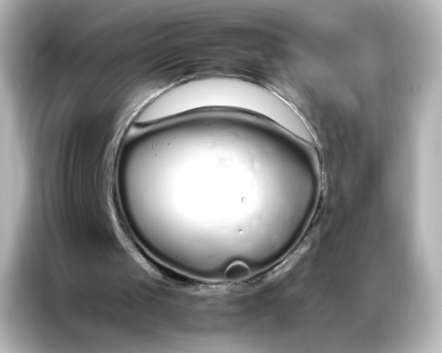 X0000086990049200704301345