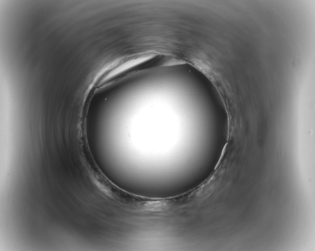 X0000086990050200704301346