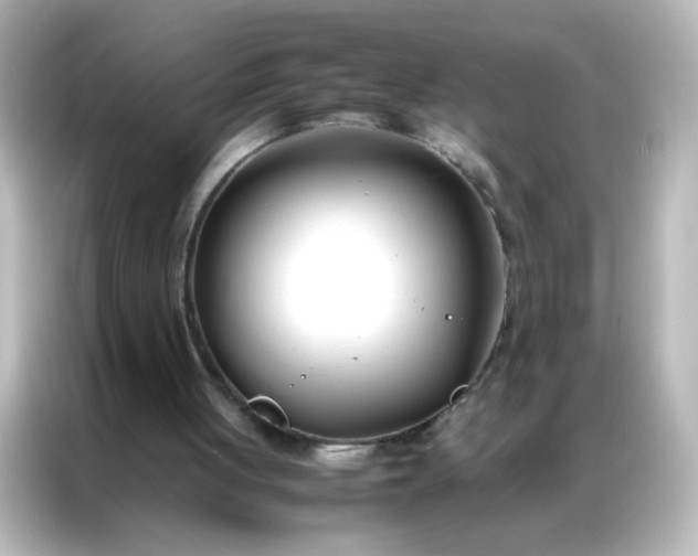 X0000086990051200704301346