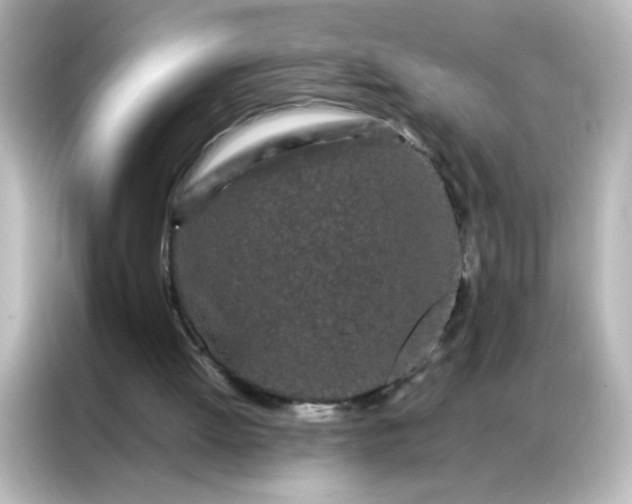 X0000086990052200704301346