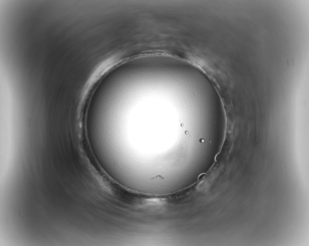 X0000086990053200704301346