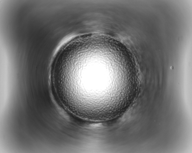 X0000086990054200704301346