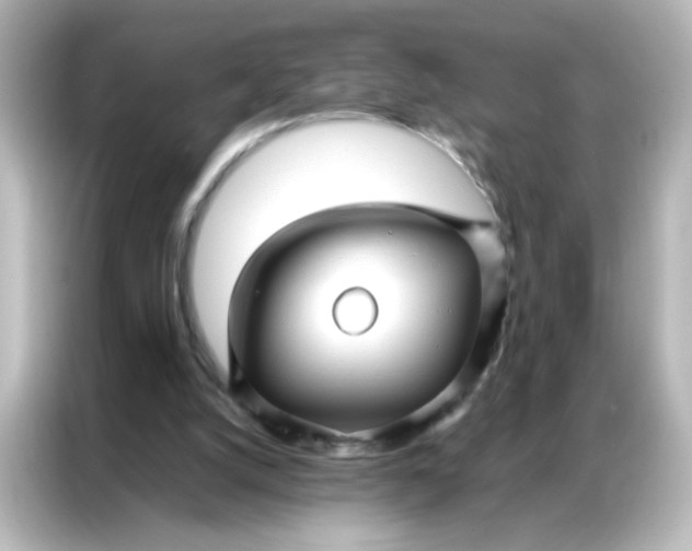 X0000086990056200704301346