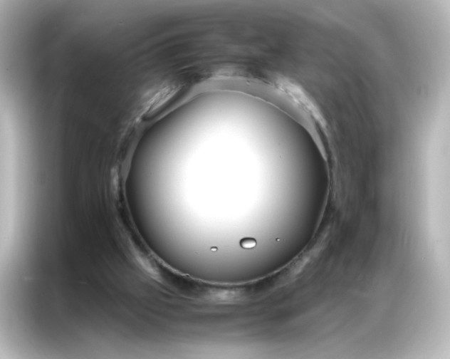 X0000086990057200704301346