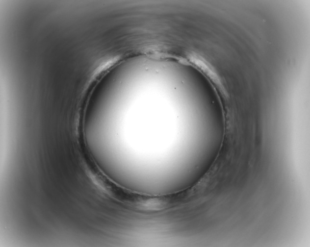 X0000086990058200704301346