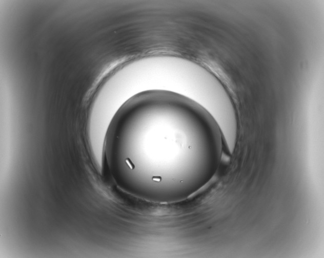 X0000086990060200704301346