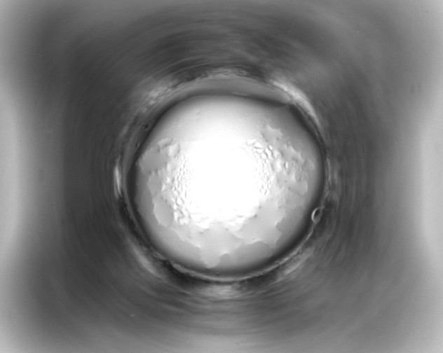 X0000086990061200704301346