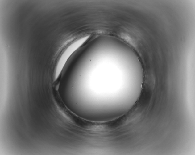 X0000086990063200704301346