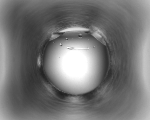 X0000086990069200704301346