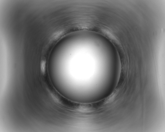 X0000086990070200704301346