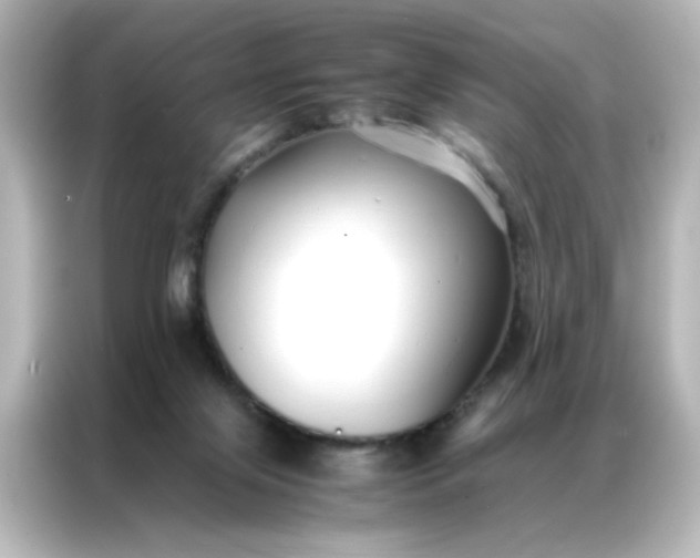 X0000086990071200704301346