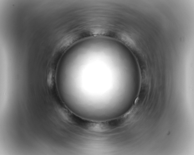 X0000086990074200704301346