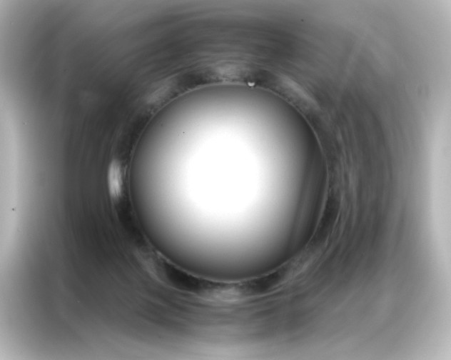 X0000086990075200704301346