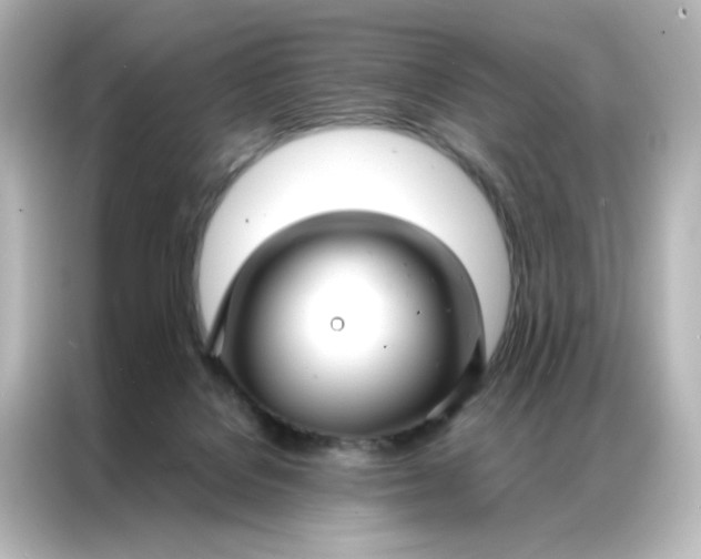 X0000086990076200704301346