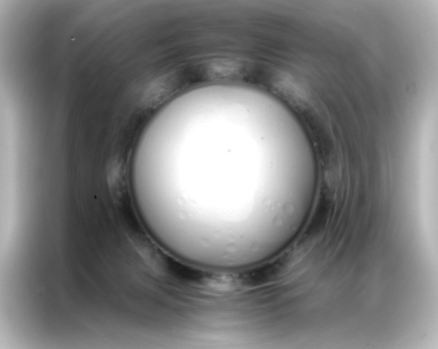 X0000086990079200704301346