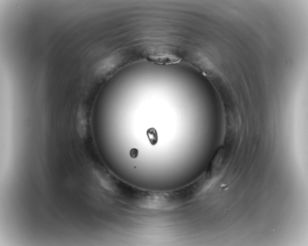 X0000086990080200704301346