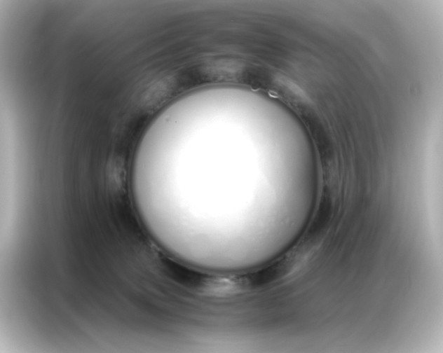 X0000086990083200704301346