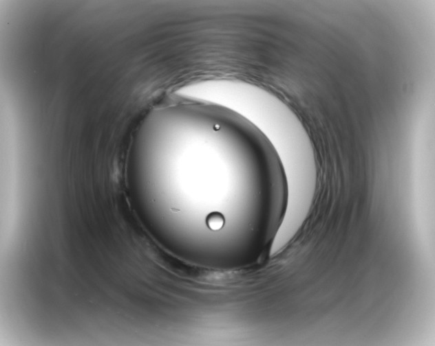 X0000086990084200704301346