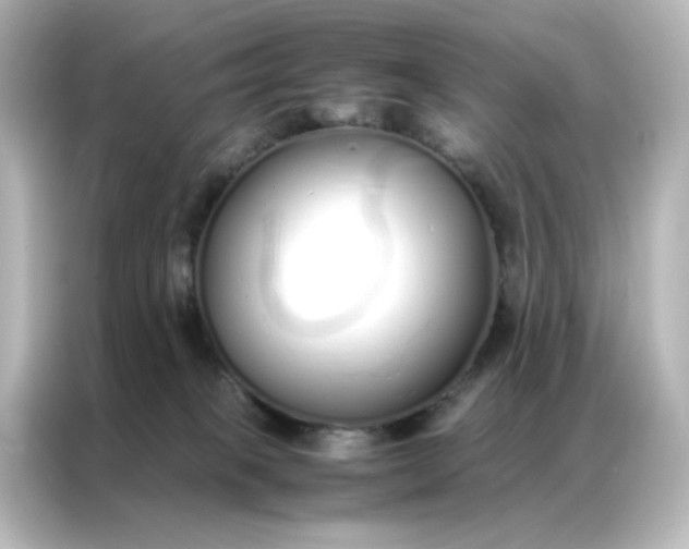 X0000086990085200704301346