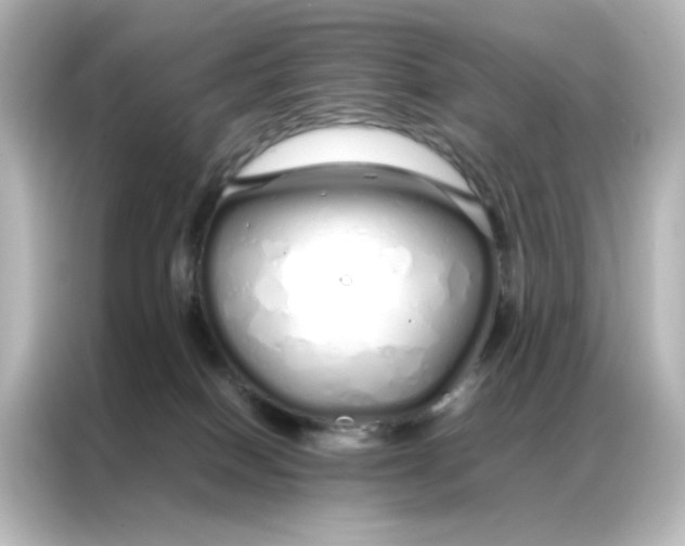 X0000086990086200704301346