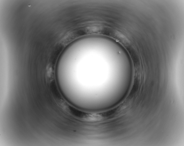 X0000086990087200704301346